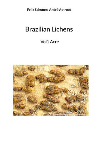 Brazilian Lichens: Vol1 Acre