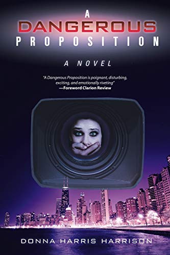 A Dangerous Proposition: A Novel