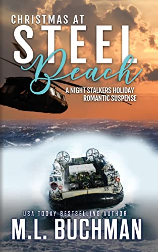 Christmas at Steel Beach: a holiday romantic suspense (The Night Stalkers Holidays, Band 4)