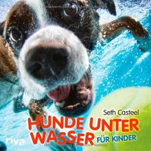 Hunde unter Wasser für Kinder