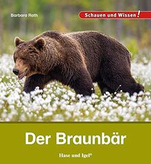 Der Braunbär: Schauen und Wissen!