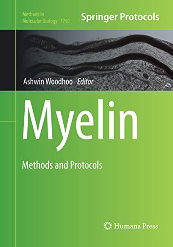 Myelin: Methods and Protocols (Methods in Molecular Biology, 1791, Band 1791)