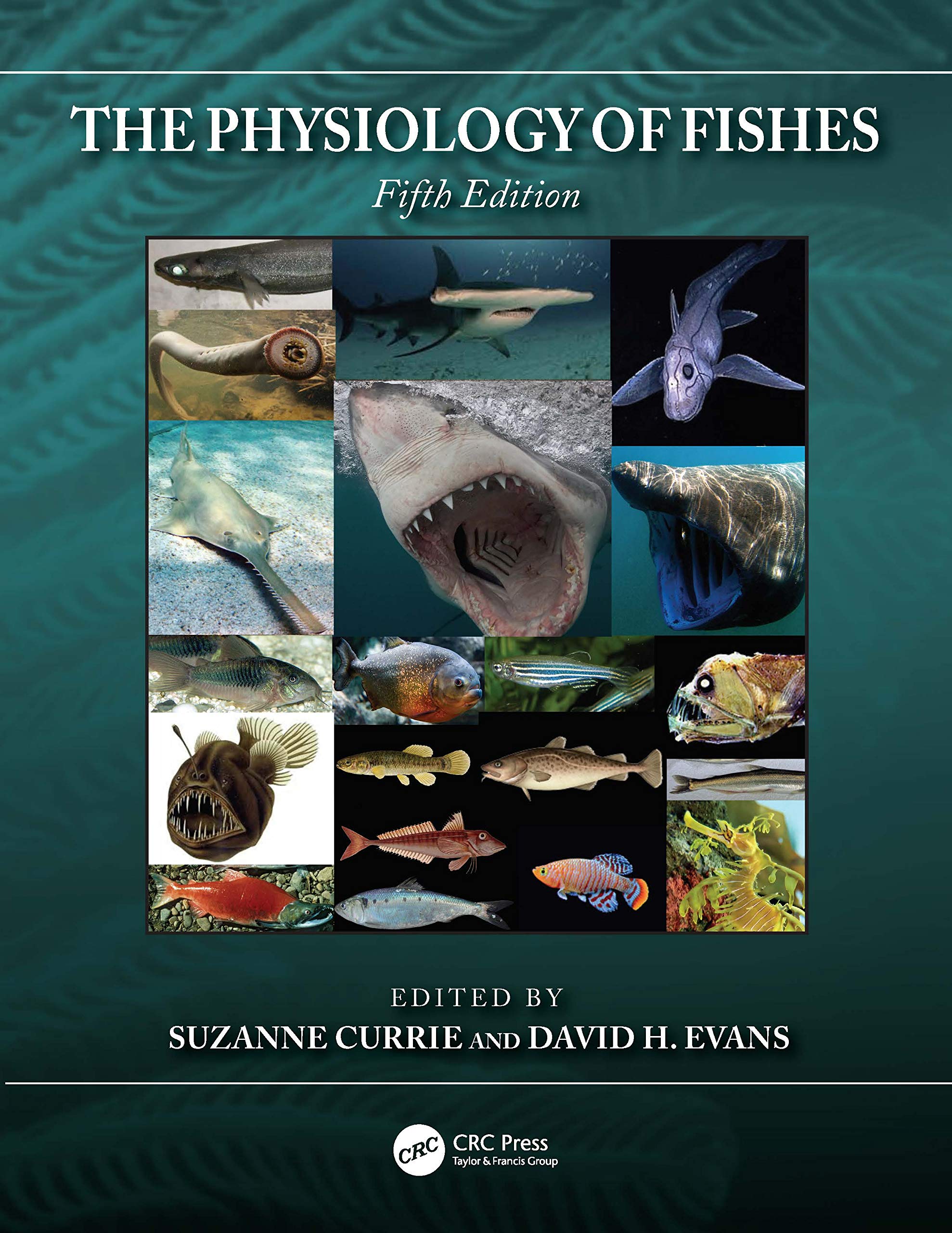 The Physiology of Fishes (Marine Biology)