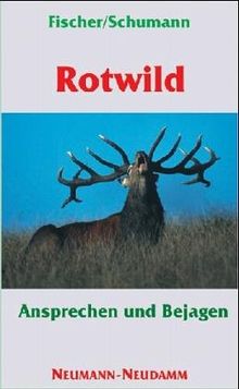 Rotwild