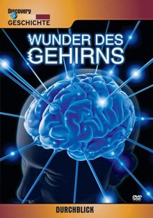 Durchblick - Wunder des Gehirns