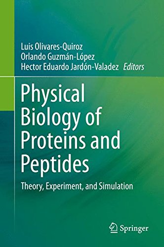 Physical Biology of Proteins and Peptides: Theory, Experiment, and Simulation