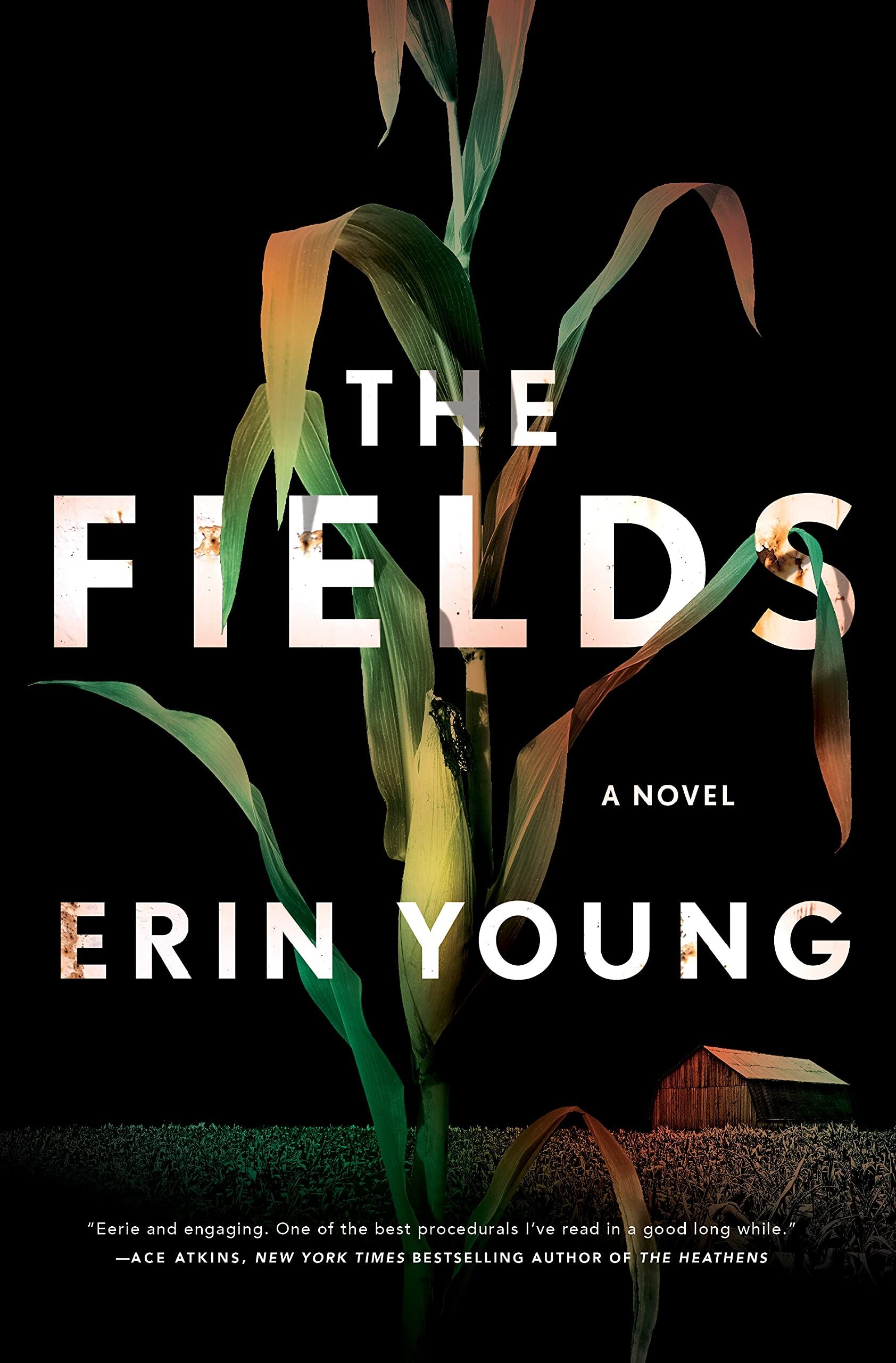 Fields - Neu