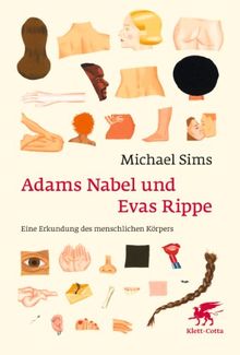 Adams Nabel und Evas Rippe