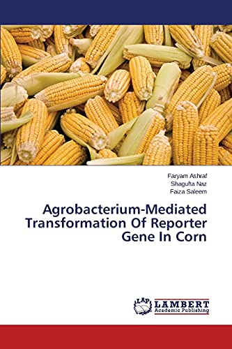 Agrobacterium-Mediated Transformation Of Reporter Gene In Corn