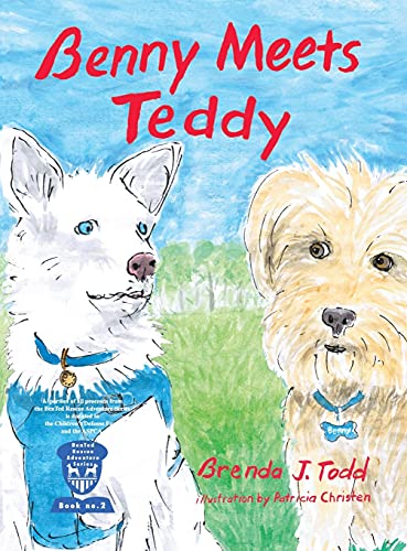 Benny Meets Teddy: BenTed Rescue Adventure Series Book II
