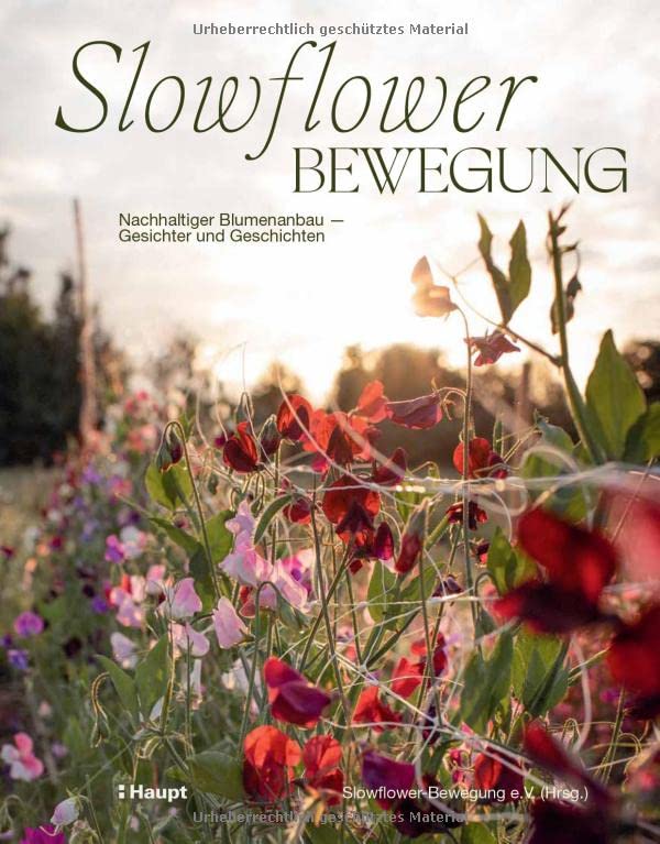 Slowflower-Bewegung: Nachhaltiger Blumenanbau - Gesichter und Geschichten
