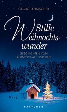 Stille Weihnachtswunder: Geschichten von Freundschaft und Liebe