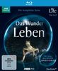 Life - Das Wunder Leben. Die komplette Serie zum Kinofilm "Unser Leben" [Blu-ray]