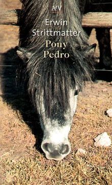 Pony Pedro