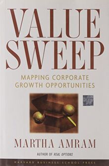 Value Sweep: Mapping Corporate Growth Opportunities