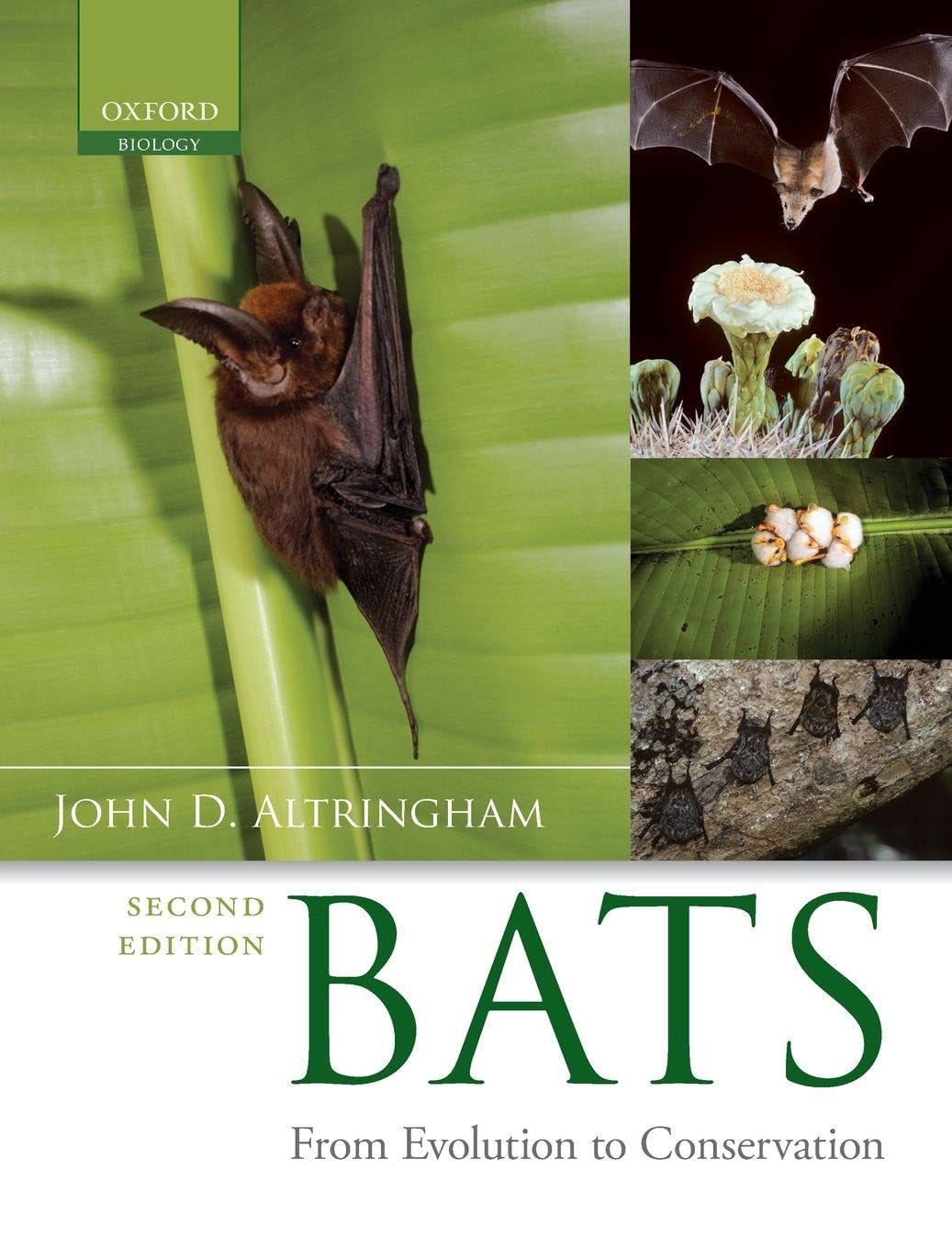 BATS: FROM EVOLUTION TO CONSERVATION 2E C