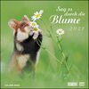 Sag es durch die Blume 2021 – Hamster, Eichhörnchen, Zwiesel in Nahaufnahme – Wandkalender mit Spiralbindung – DUMONT Quadratformat 24 x 24 cm