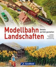 Modellbahn Landschaften: Details perfekt gestalten