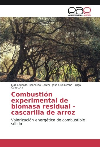 Combustión experimental de biomasa residual - cascarilla de arroz: Valorización energética de combustible sólido