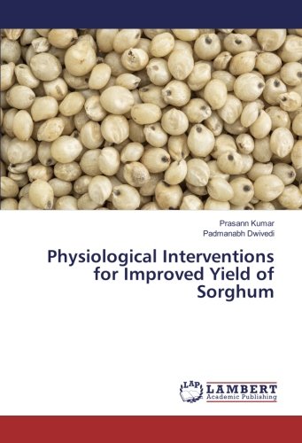 Physiological Interventions for Improved Yield of Sorghum