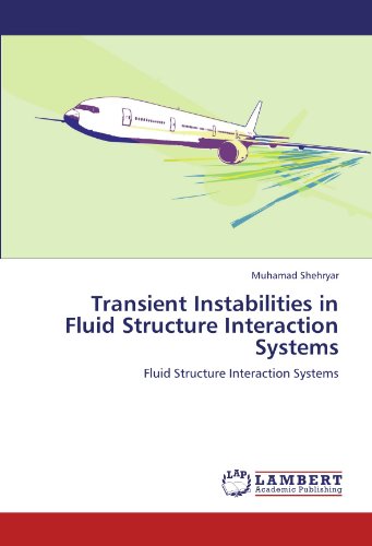 Transient Instabilities in Fluid Structure Interaction Systems: Fluid Structure Interaction Systems
