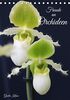 Freude an Orchideen (Tischkalender 2024 DIN A5 hoch): Fantastische Orchideenblüten, gelungen in Szene gesetzt (Monatskalender, 14 Seiten ) (CALVENDO Natur)