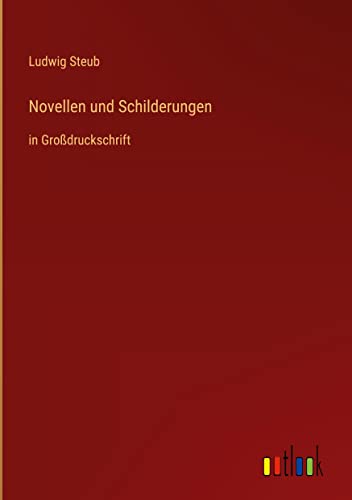 Novellen und Schilderungen: in Großdruckschrift