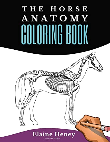 Elaine Heney Horse Anatomy Coloring Book For Adults - Self Assessment Equine Coloring Workbook, Test Your Knowledge - For Equestrians & Veterinary Students