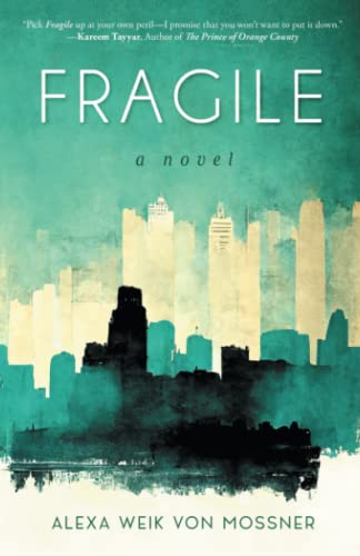 Fragile: A Novel