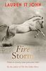 Fire Storm (The One Dollar Horse)