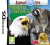 Animal Life - Nordamerika