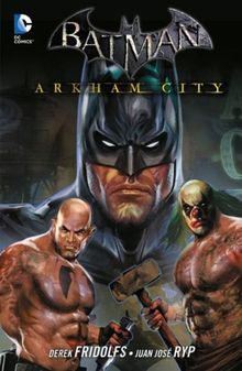 Batman: Arkham City: Bd. 3 von Fridolfs, Derek, Miller, Mike S. | Buch | Zustand sehr gut