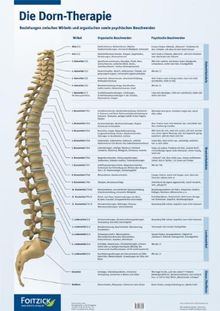 Die Dorn-Therapie, Poster