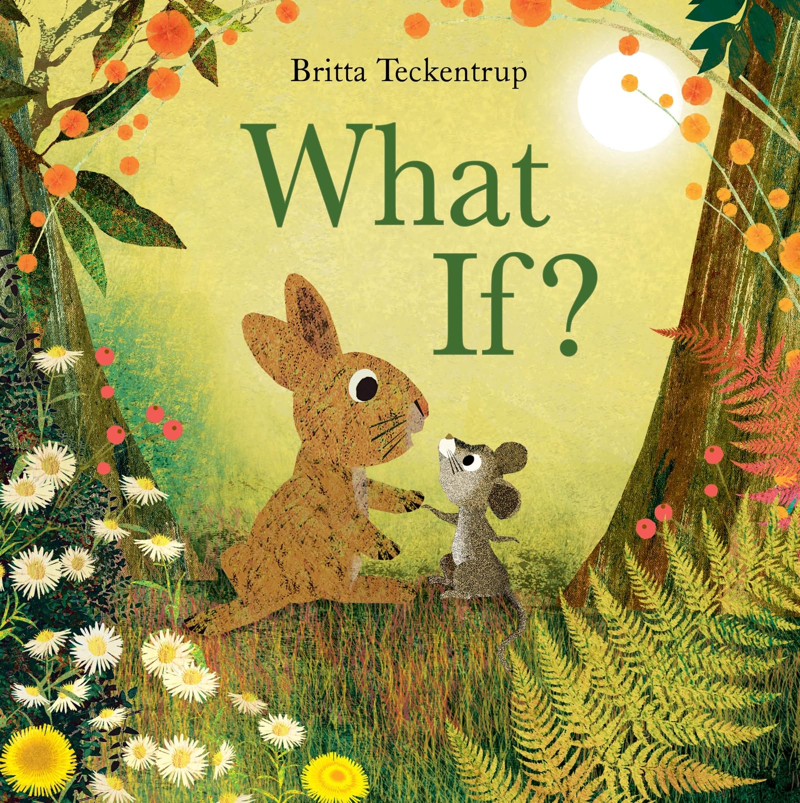 Teckentrup, Britta: What If?