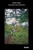 Robert Gober: The Heart is Not a Metaphor
