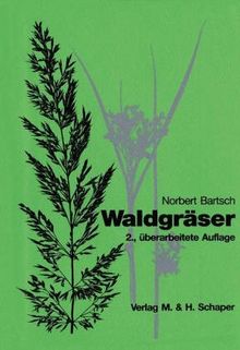 Waldgräser: Süßgräser - Riedgrasgewächse - Binsengewächse