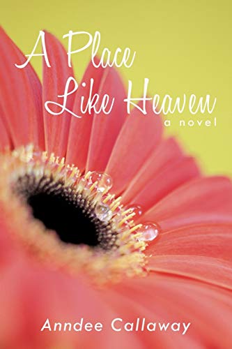 A Place Like Heaven: a novel