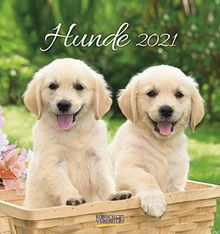 Hunde 2021: aufstellbarer Postkartenkalender | Buch | Zustand sehr gut