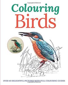 Colouring Birds (Colouring Books)