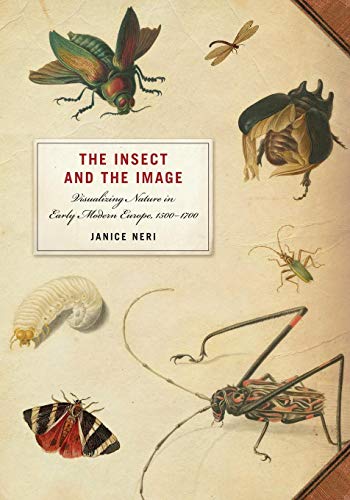 Janice Neri The Insect And The Image, Visualizing Nature In Early Modern Europe, 1500-1700