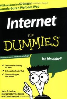 Internet für Dummies