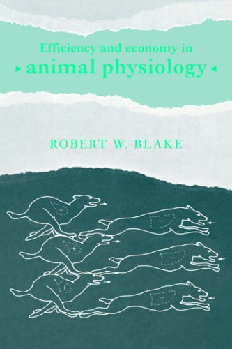 Efficiency Economy Animal Physiolgy