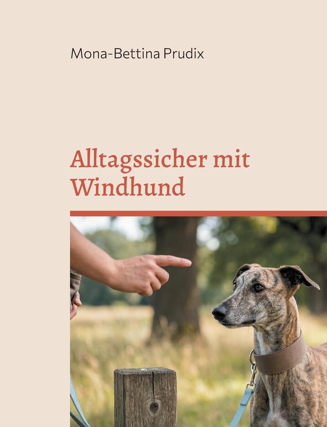 Alltagssicher mit Windhund