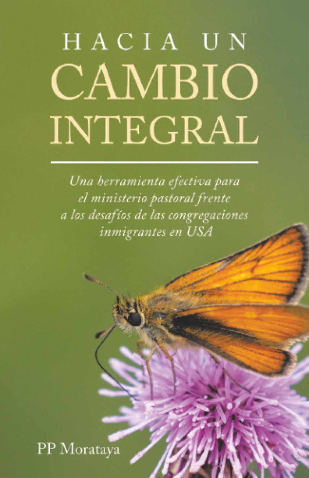 HACIA UN CAMBIO INTEGRAL: Una herramienta efectiva para el ministerio pastoral frente a los desafíos de las congregaciones inmigrantes en USA