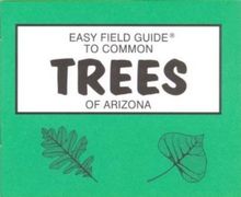 Easy Field Guide to Common Trees of Arizona (Easy Field Guides)