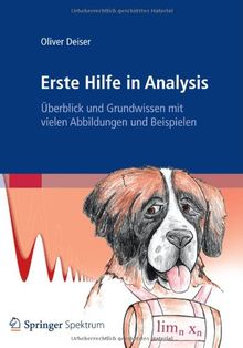 Erste Hilfe in Analysis: Überblick und Grundwissen mit vielen Abbildungen und Beispielen