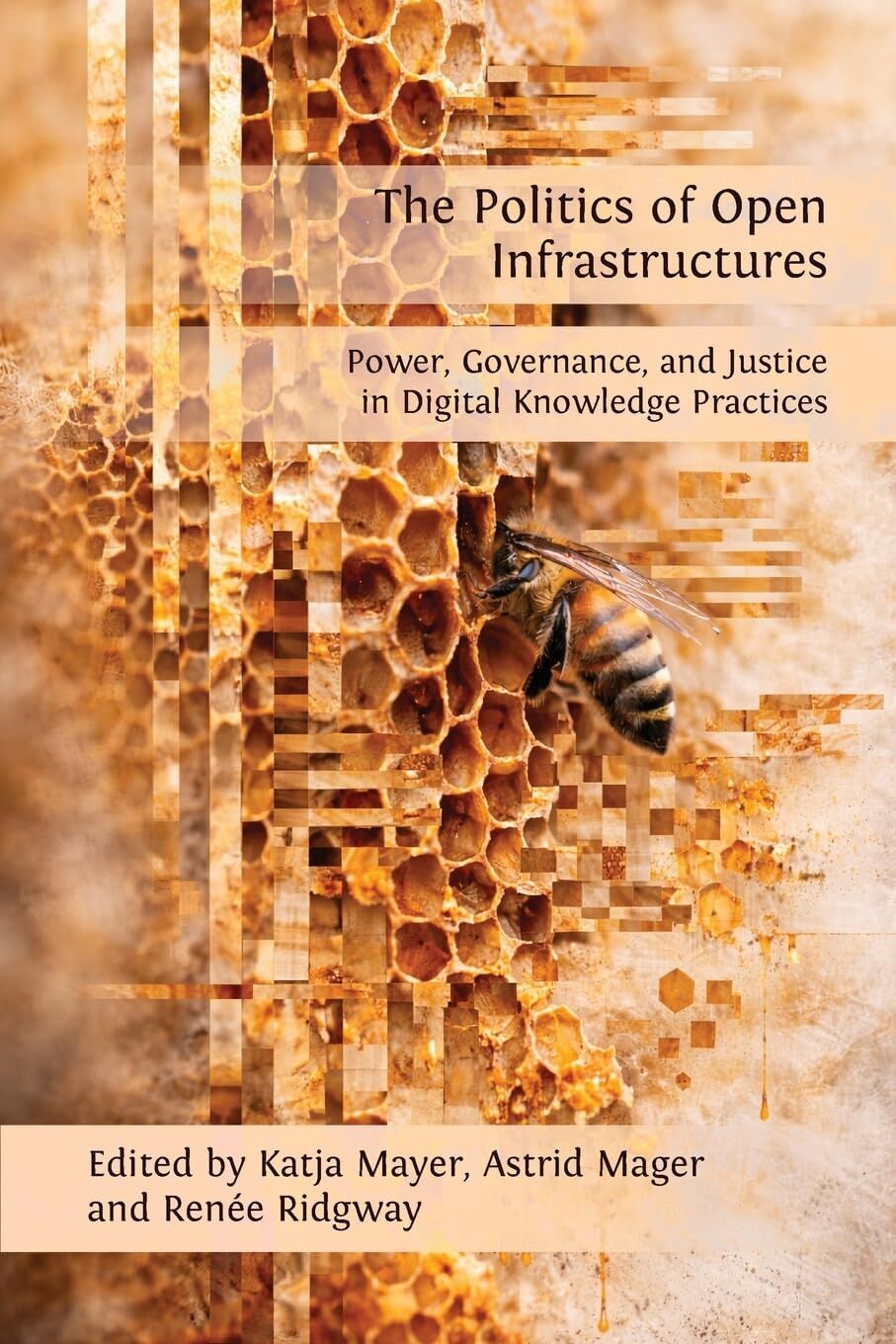 Politics of Open Infrastructures