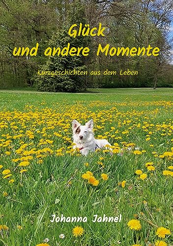 Glück und andere Momente: Kurzgeschichten aus dem Leben