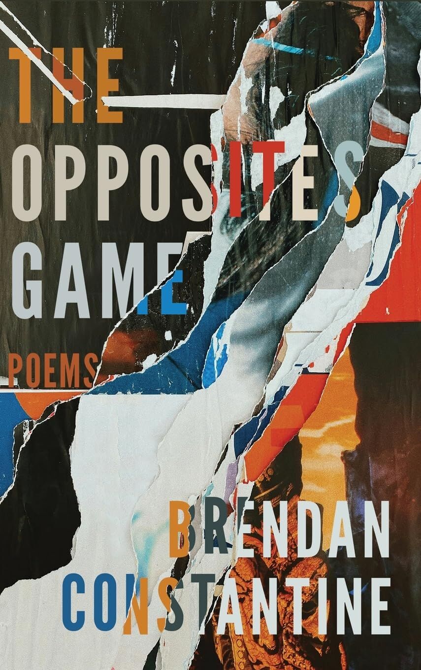 The Opposites Game