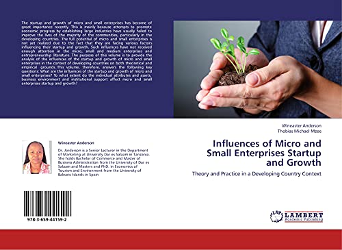 Influences of Micro and Small Enterprises Startup and Growth: Theory and Practice in a Developing Country Context
